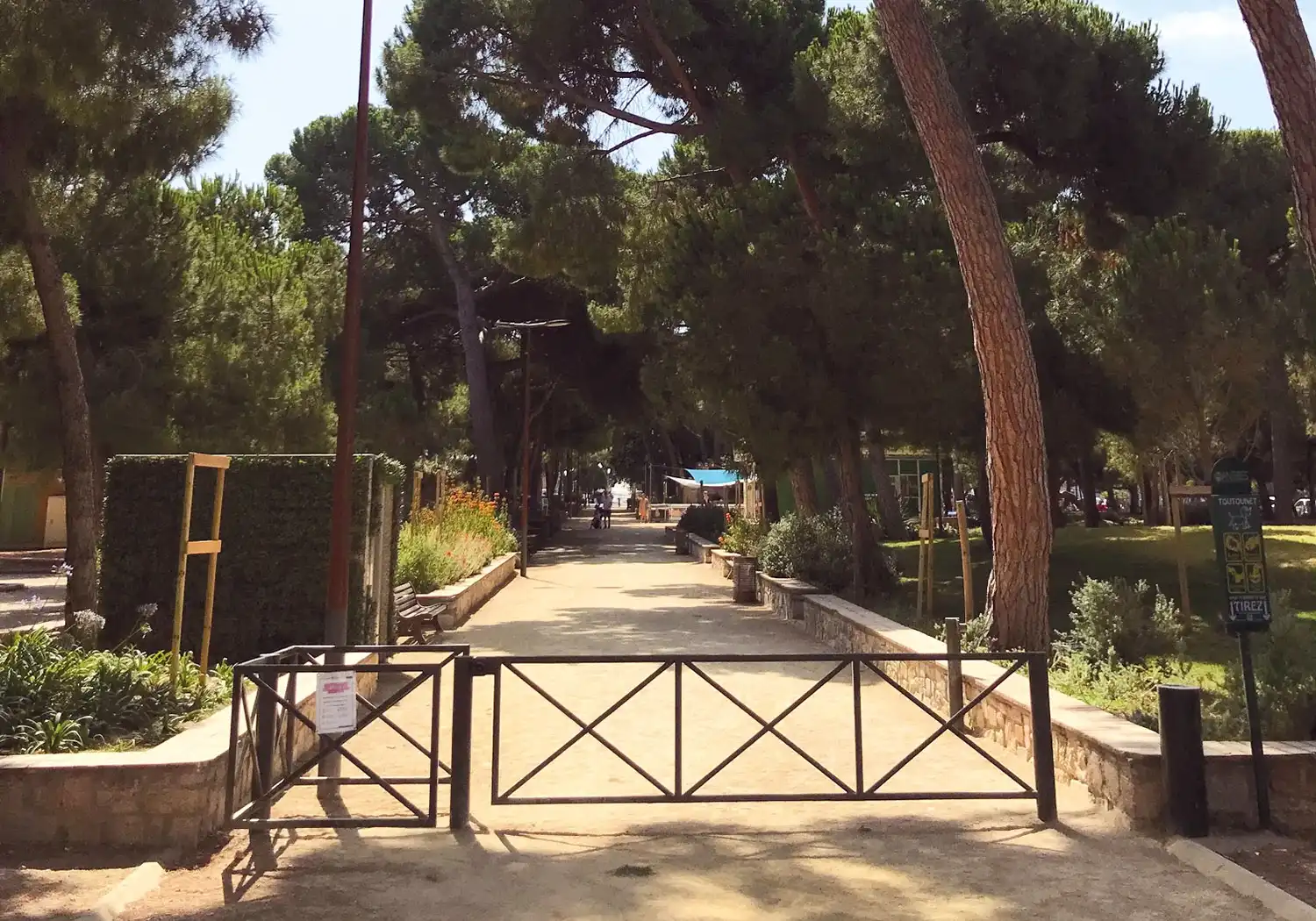 Path through the Juan-les-Pins pine grove